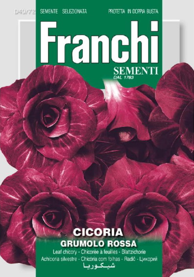 Radicchio Grumolo Rossa (Cichorium) 8400 Samen